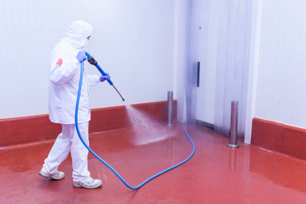 Best Patio and Deck Pressure Washing  in Wrightsville, GA